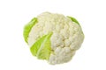 Head of fresh cauliflower isolated on white background. Studio Photo Royalty Free Stock Photo