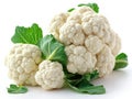 head of fresh cauliflower white background Royalty Free Stock Photo