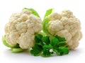 head of fresh cauliflower white background Royalty Free Stock Photo