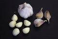 Head of fresh garlic, garlic cloves, peeled and unpeeled, useful, antimicrobial, close-up on a black slate board
