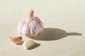 Head of fresh garlic and two cloves of garlic on light wooden background Royalty Free Stock Photo