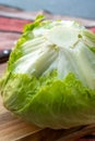 Head of fresh green Iceberg or Crisphead lettuce Royalty Free Stock Photo