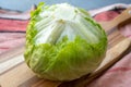 Head of fresh green Iceberg or Crisphead lettuce Royalty Free Stock Photo