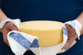 A head of fresh organic cheese in man`s hands. Food concept Royalty Free Stock Photo