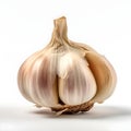 Head of garlic on a white background is a simple yet beautiful composition.