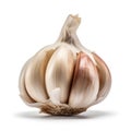 Head of garlic on a white background is a simple yet beautiful composition.