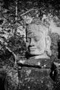 Head of gate guardian, Angkor, Cambodia