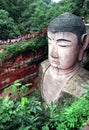The Head of Giant Buddha