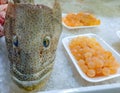 Head of giant spotted sea bass and its caviar on ice at fish market