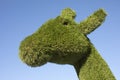 Head of giraffe is made of green grass. Park figure made of artificial grass Royalty Free Stock Photo