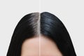 Head of a girl with black gray hair. Hair coloring. Before and after