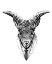 The head of the goat in front is symmetrical with a formal suit in tie and jacket