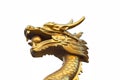 Head gold dragon on background