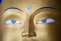 Head of a golden Buddha inside temple at Thikse monastery. Ladakh, India Royalty Free Stock Photo