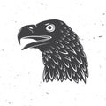 Head of golden eagle. Vector illustration. Bird symbol of powerful, proud, freedom and independence.