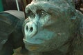Head of gorilla sculpture close up Royalty Free Stock Photo