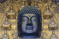 The Head of Great Buddha Daibutsu in the main hall of Todaiji in Nara, Japan Royalty Free Stock Photo