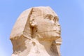 Head of Great Sphinx Giza in 2009 Royalty Free Stock Photo