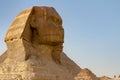 Head of Great Sphinx at the Great Pyramids of Giza Complex, Giza, Egypt Royalty Free Stock Photo