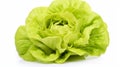 A head of green butter lettuce isolated on white background with clipping path. generative ai Royalty Free Stock Photo