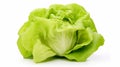 A head of green butter lettuce isolated on white background with clipping path. generative ai Royalty Free Stock Photo