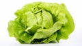 A head of green butter lettuce isolated on white background with clipping path. generative ai Royalty Free Stock Photo