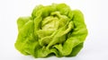 A head of green butter lettuce isolated on white background with clipping path. generative ai Royalty Free Stock Photo