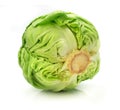 Head of green cabbage vegetable isolated