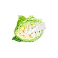 Head of green cabbage vegetable isolated on white background Royalty Free Stock Photo