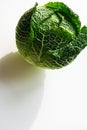 Head of green fresh cabbage on white background important for immunity and healthy nutrition Royalty Free Stock Photo