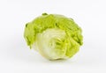 A head of green iceberg lettuce on a white background. Fresh green salad. Royalty Free Stock Photo