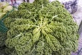 The head of a green kale on the market in full. Royalty Free Stock Photo