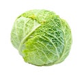 Head of green savoy cabbage cut out on white Royalty Free Stock Photo