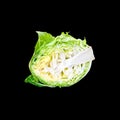 Head of green young cabbage vegetable isolated on a black background Royalty Free Stock Photo