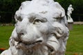 Head of stone lion looking forward seriously Royalty Free Stock Photo