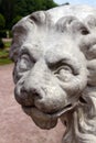 Head of stone lion looking forward seriously Royalty Free Stock Photo