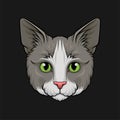 Head of grey cat, face of pet animal hand drawn vector Illustration