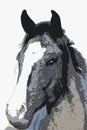 Grey Horse - Head Illustration