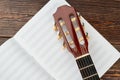 Head of guitar on musical notes. Royalty Free Stock Photo