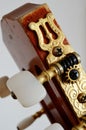 Head guitar neck with tuning pegs Royalty Free Stock Photo