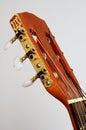 Head guitar neck with tuning pegs on gray Royalty Free Stock Photo