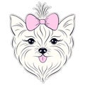 Head of hand drawn yorkshire terrier