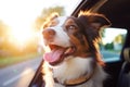 Head of happy lap dog looking out of car window enjoying road trip. Generative AI Royalty Free Stock Photo