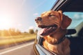 Head of happy lap dog looking out of car window enjoying road trip. Generative AI Royalty Free Stock Photo