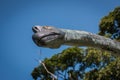 Head herbivorous dinosaurs Royalty Free Stock Photo