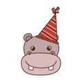 Head of hippo with party hat on white background Royalty Free Stock Photo