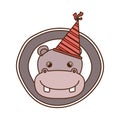 Head of hippo with party hat on white background Royalty Free Stock Photo