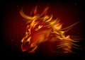 Head of Horse in Fire Royalty Free Stock Photo