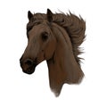 Head horse profile sketch vector