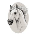 Head horse profile sketch vector